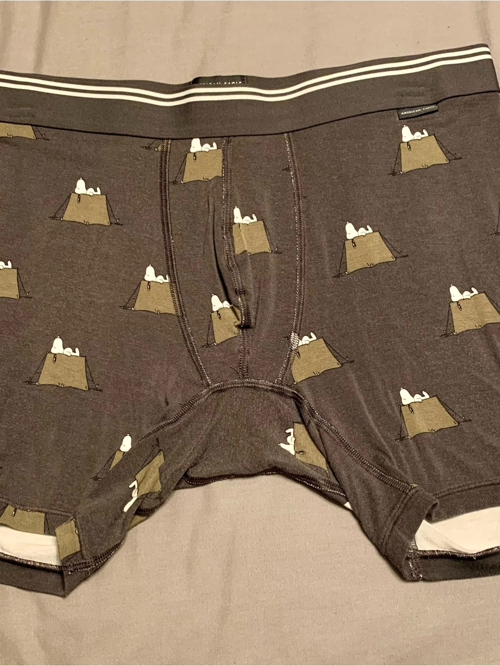 American Eagle Outfitters Dark Brown Boxer Briefs with Stripe Waistband